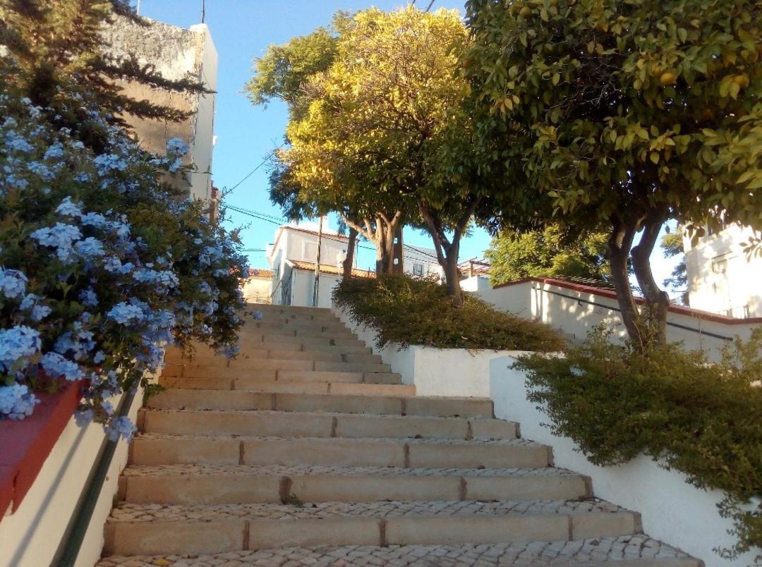 Casa Pelourinho Villa Silves Buitenkant foto